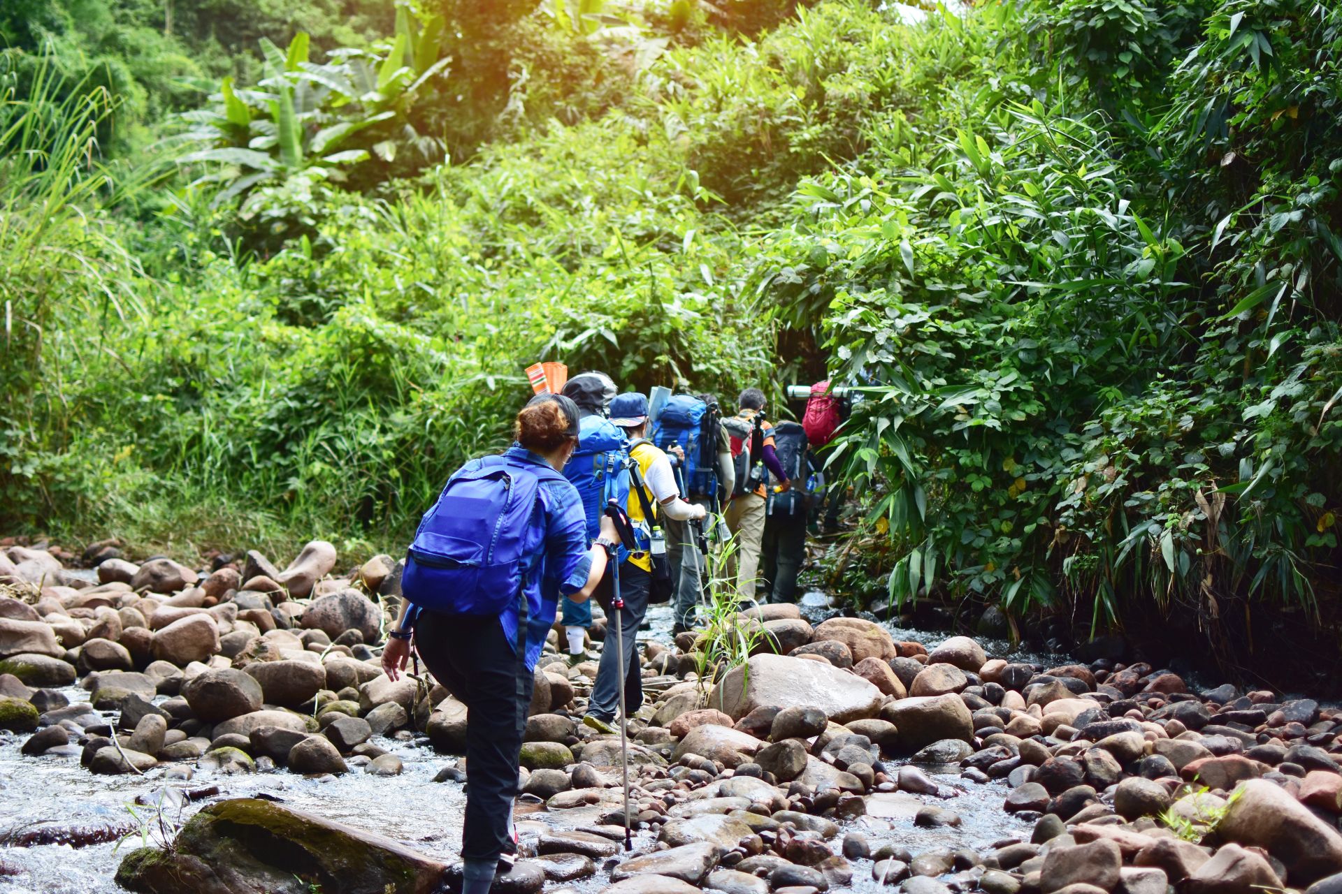 3 Days Murchison falls Safari